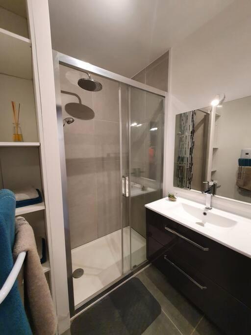 Appartement Centre Ville Au Calme Jardin Et Parking Public ラ・ロシェル エクステリア 写真